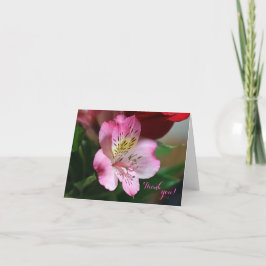 ヘルモソサンキューカード サンキューカード