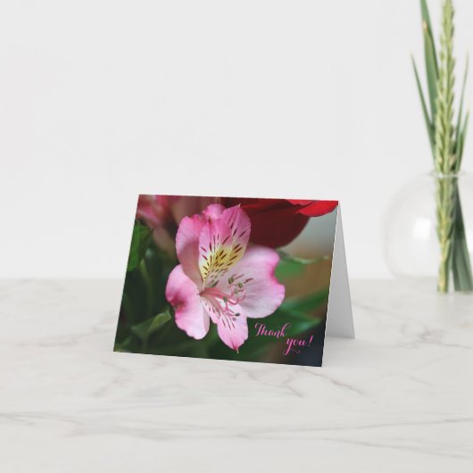 ヘルモソサンキューカード サンキューカード (正面)