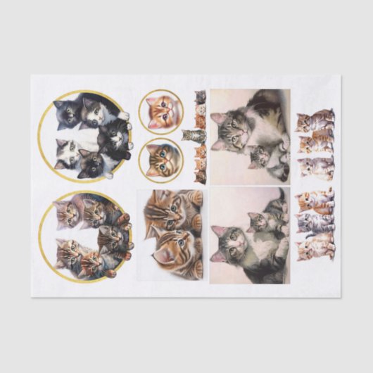 ヘレナかわいらしマグワイアのスタイルで子猫 薄葉紙 (正面)