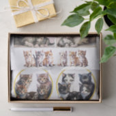 ヘレナかわいらしマグワイアのスタイルで子猫 薄葉紙 (ギフト)