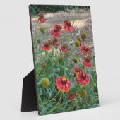 ヘレニウムの花 フォトプラーク (側面)