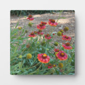 ヘレニウムの花 フォトプラーク (正面)