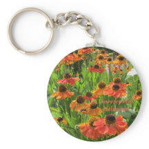 ヘレニウム「シュネゼウィード」