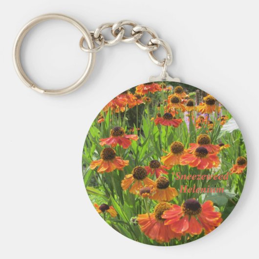 ヘレニウム「シュネゼウィード」 キーホルダー (正面)