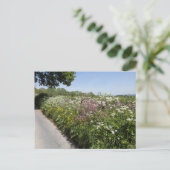 ヘレフォードシャーの野の花 ポストカード (スタンド正面)