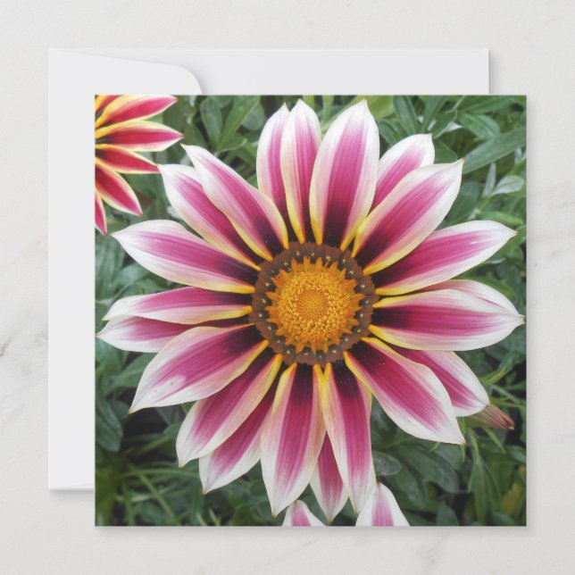 ヘレフォード (正面)