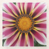 ヘレフォード ガラスコースター (正面)