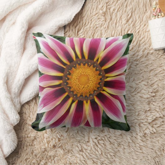 ヘレフォード クッション (ブランケット)