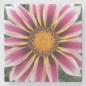 ヘレフォード ストーンコースター (正面)