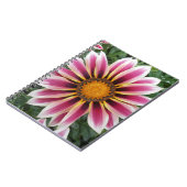 ヘレフォード ノートブック (左側)