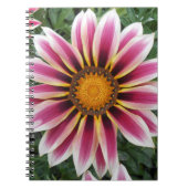 ヘレフォード ノートブック (正面)