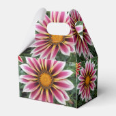 ヘレフォード フェイバーボックス (裏面サイド)