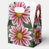 ヘレフォード フェイバーボックス (オープン)