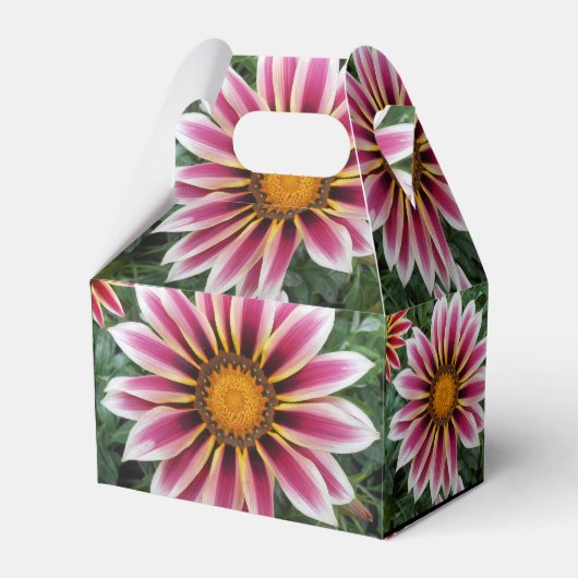 ヘレフォード フェイバーボックス (正面サイド)