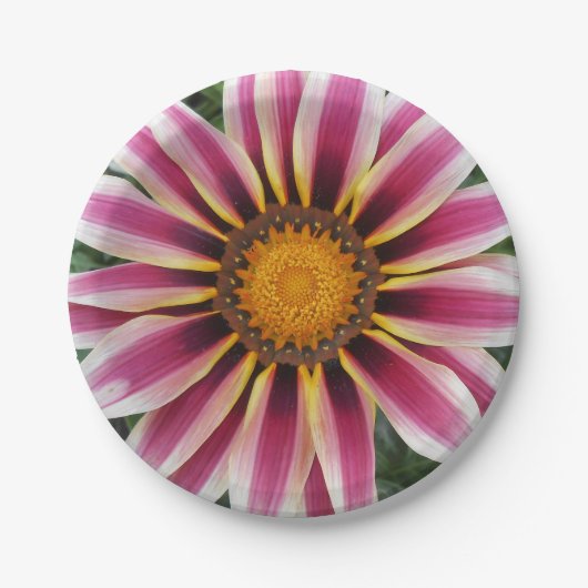 ヘレフォード ペーパープレート (正面)