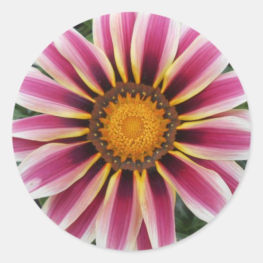 ヘレフォード ラウンドシール (正面)