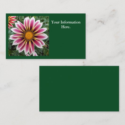 ヘレフォード 名刺 (正面/裏面)