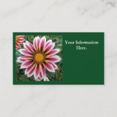 ヘレフォード 名刺 (正面)