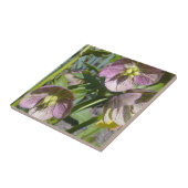 ヘレボアタイル タイル (側面)