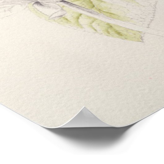 ヘレボア ポスター (角)