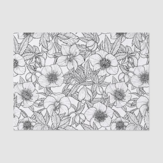 ヘレボレスの白黒 薄葉紙 (正面)