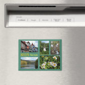 ヘレングルジア磁石 マグネット (インサイチュ (食洗機))