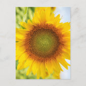 ヘレン・ケラーの引用付き美しいひまわり ポストカード (正面)