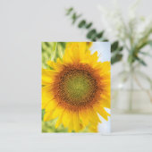 ヘレン・ケラー氏の名言付き美しいひまわり ポストカード (スタンド正面)