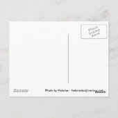 ヘレーヌズヴェネツィアグラフィティ ポストカード (裏面)