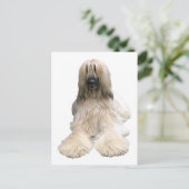 ヘレーヌ・アフガン ポストカード (スタンド正面)