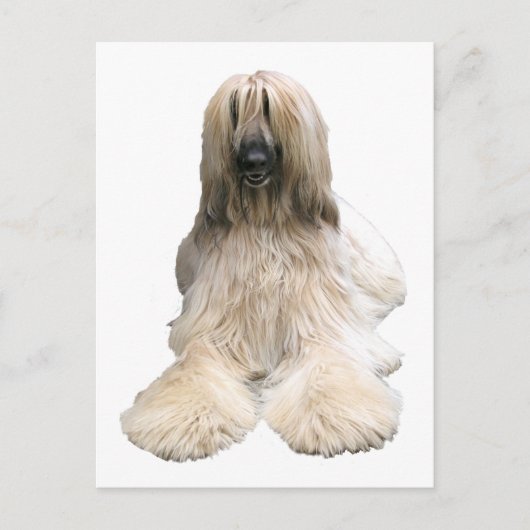 ヘレーヌ・アフガン ポストカード (正面)