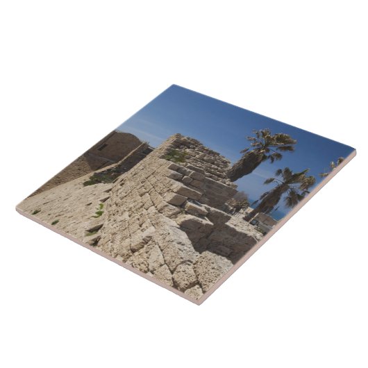 ヘロデが建てたカエサレア港跡素晴らし タイル (側面)