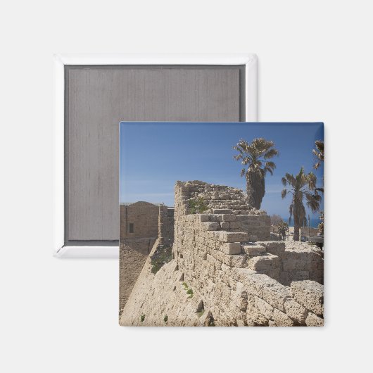 ヘロデが建てたカエサレア港跡素晴らし マグネット (正面/裏面)