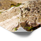 ヘロディオン・アティカスの古代演劇遺跡 ポスター (角)