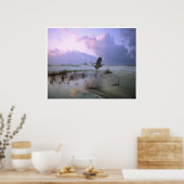 ヘロンがサンタローザ島を飛行する ポスター (キッチン)