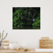 ヘロンとレイジーリバーポスタープリント ポスター (キッチン)