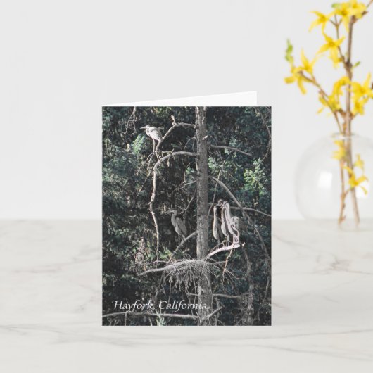 ヘロンの家族….. カード (黄色い花)