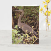 ヘロンは川のそばの木の下に座っていた カード (黄色い花)