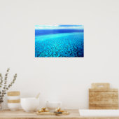 ヘロンアイランドリーフ ポスター (キッチン)