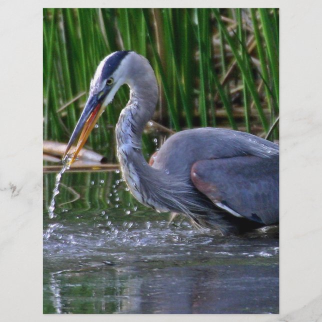 ヘロンスプラッシュ (正面)