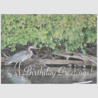 ヘロンティッシュペーパー 薄葉紙