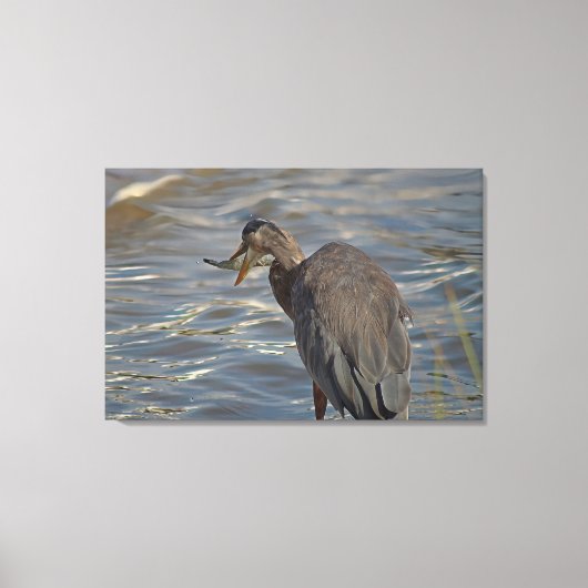 ヘロンビーチ鳥類野生動物沿岸写真 キャンバスプリント (正面)