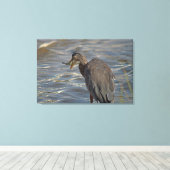 ヘロンビーチ鳥類野生動物沿岸写真 キャンバスプリント (インサイチュ (ウッドフロア))