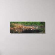 ヘロン家族 – 右側