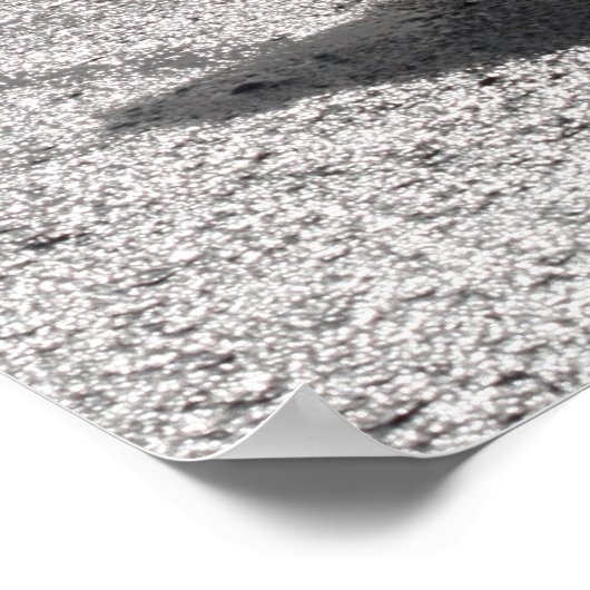 ヘロン歩くオンショア ポスター (角)