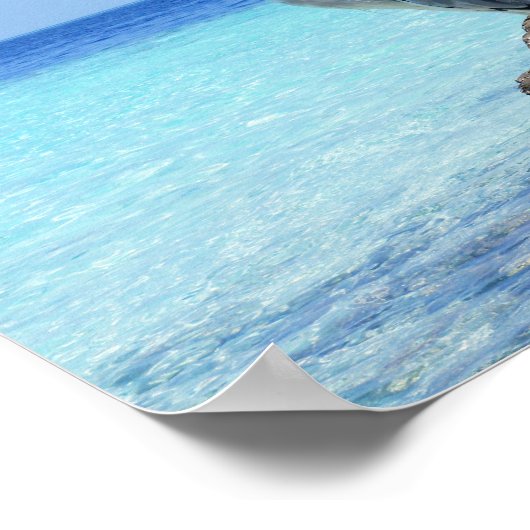 ヘロン海鳥 ポスター (角)