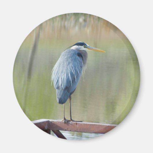 ヘロン磁石 マグネット (正面)