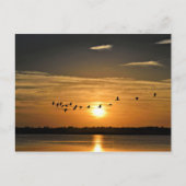ヘロン飛んでいるが空を横切る夕日 ポストカード (正面)