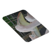 ヘロン3"x4"マグネット マグネット (右側)