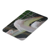 ヘロン3"x4"マグネット マグネット (左側)
